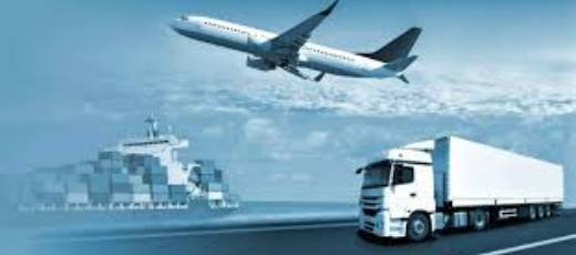 Import-Export Services